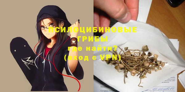 эйфоретик Армянск