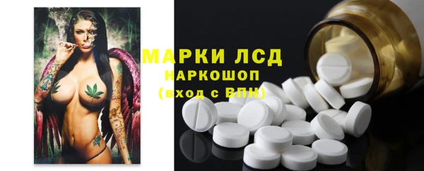 Альфа ПВП Аркадак