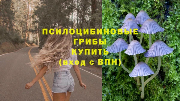 эйфоретик Армянск